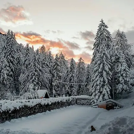 Idyllic Triglav Forest Retreat - Alps, Trails, Lakes, Falls *