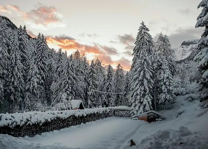 Idyllic Triglav Forest Retreat - Alps, Trails, Lakes, Falls *